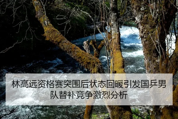 林高远资格赛突围后状态回暖引发国乒男队替补竞争激烈分析